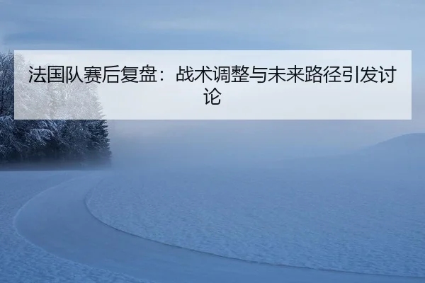 法国队赛后复盘：战术调整与未来路径引发讨论